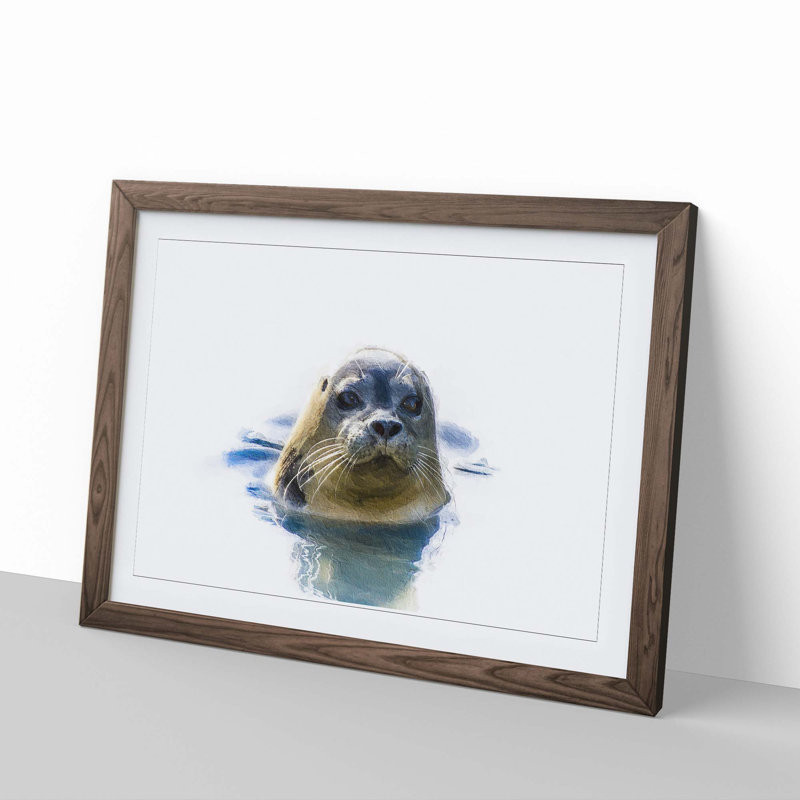 Grey Seal - Framed Print, 27cm H x 36cm W x 2cm D, Walnut Framed