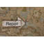 Tapis traditionnel discret 8 x 11