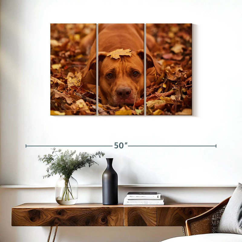 Mignon Pitbull d'automne, H 24 po x l 38 po