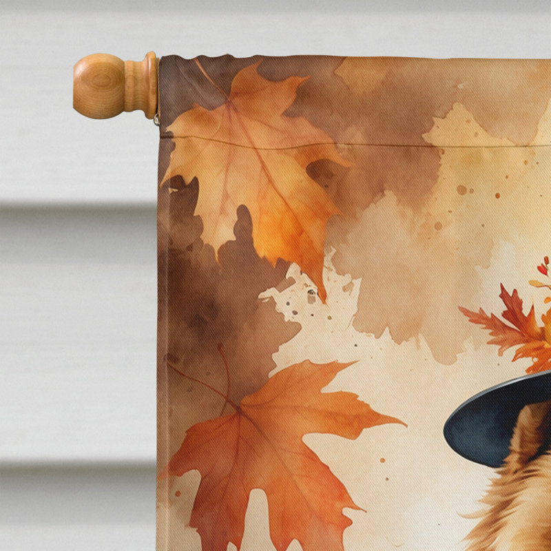 Drapeau de l'Action de grâce, Chow-chow