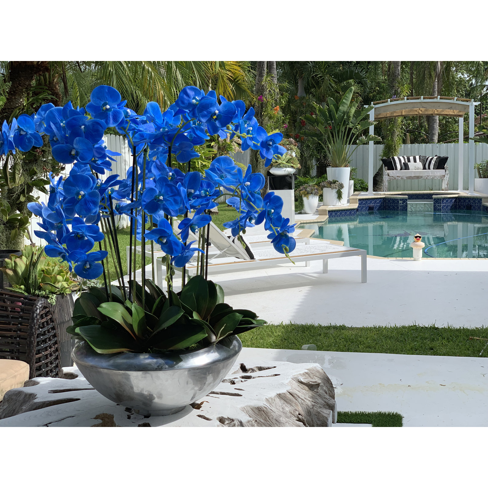 Orchid Floral Arrangement, Blue