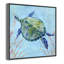 Collection Se3a Turtle Sea Turtle II par Carol Robinson-93233734-93233742