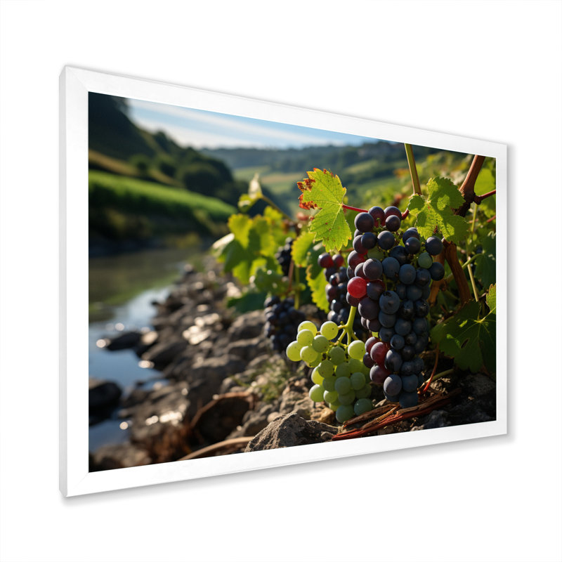 " Scenic Vineyard Reflections ", 24" H x 32" W x 1" D, White Single Picture Framed
