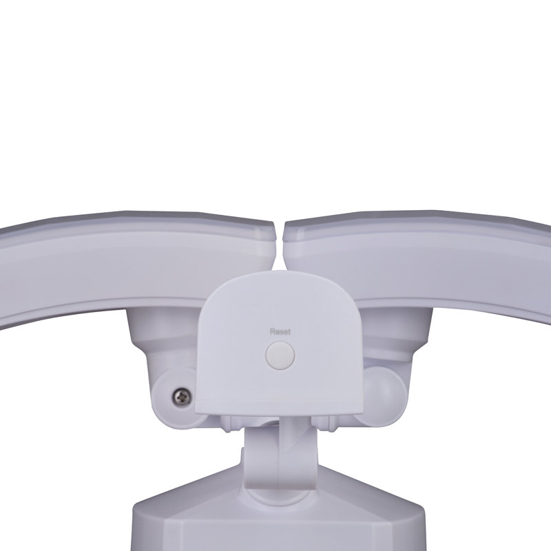 Zeta LED Dusk to Dawn Flood Light