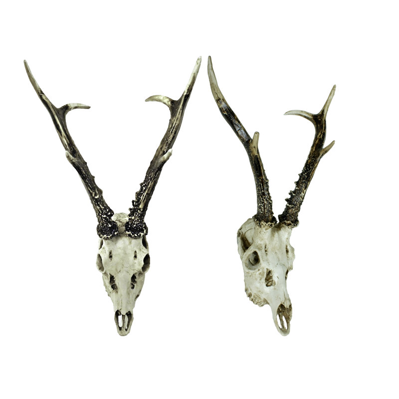 2 Piece Wall Décor Set