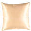 Square Pillow Cover & Insert-1776867245-1771594791