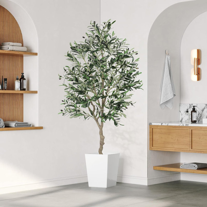 180cm Plant