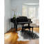 Acadia Animal Print Area Rug in Black