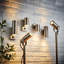 Metcalfe Steel Spotlight