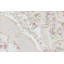 Aubusson Renaissance Wool Oriental Area Rug