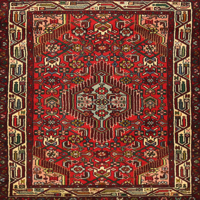 Oriental Indoor Rug