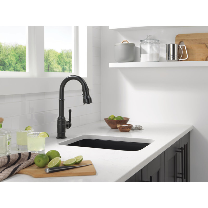 Broderick Pull Down Single Handle Kitchen Faucet With Accessories