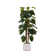 72.57'' Faux Devil's Ivy (Scindapsus Aureus) Tree in Planter