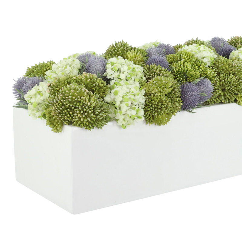Sedum and Thistle Arranged in Rectangular Planter