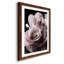 Rose noire II - photographie-1227621810-1227621811