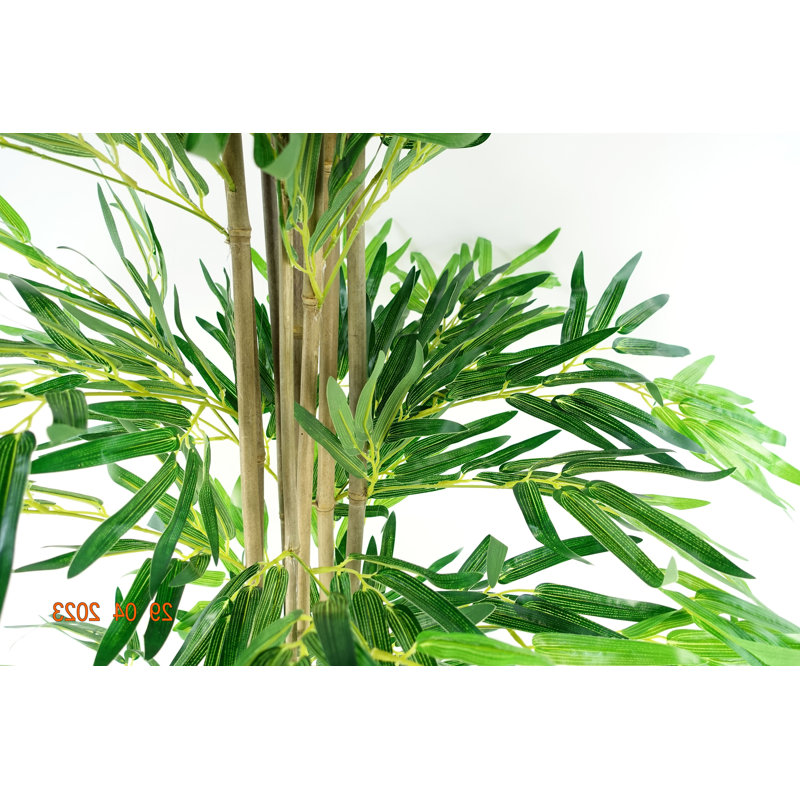 Faux Bamboo Tree in Pot Liner, 180cm H x 70cm W x 70cm D