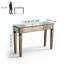 Antique Mirrored Console Table