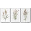 3 pièces Dicat Botanical I-97757804-97757805