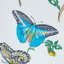 Baudin Butterfly Chintz Fabric-49396790