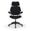 Freedom Headrest Ergonomic Task Chair - Autumn-1383268838