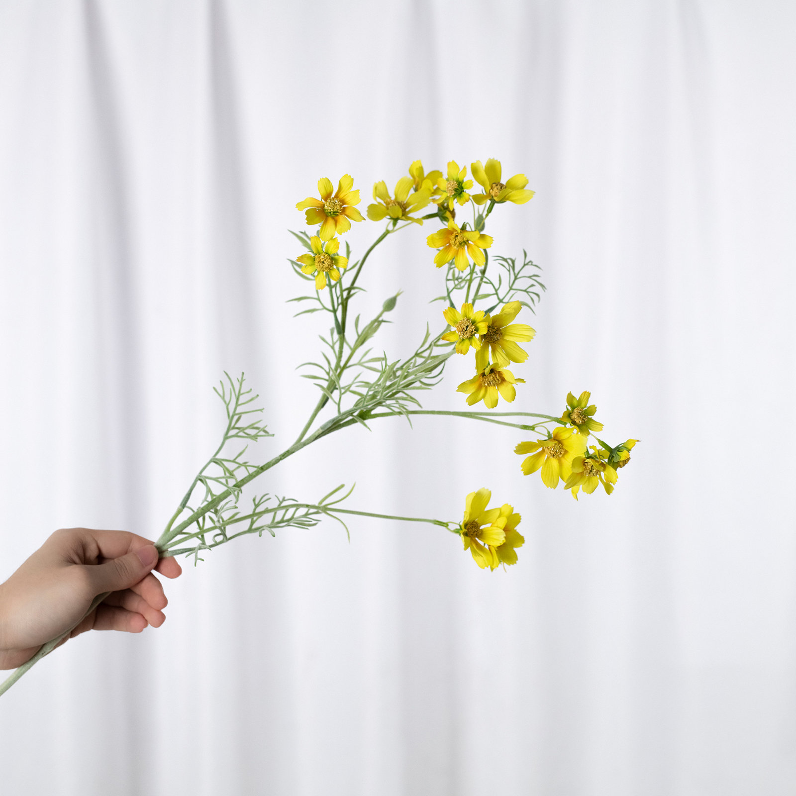 Audet Cornflower Stems, Yellow, 30.81" x 4"