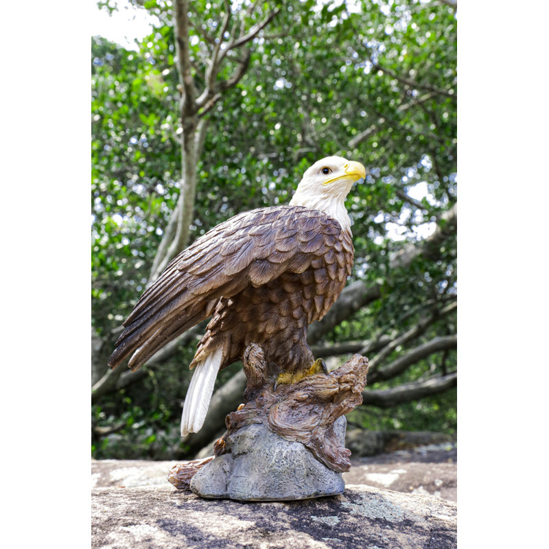 Aigle activé par le mouvement