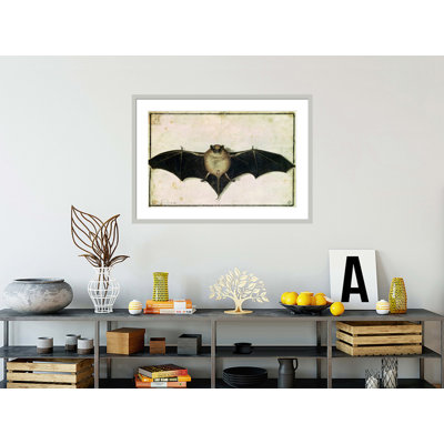 Chauve-souris par Albrecht Dürer - Impression sur toile