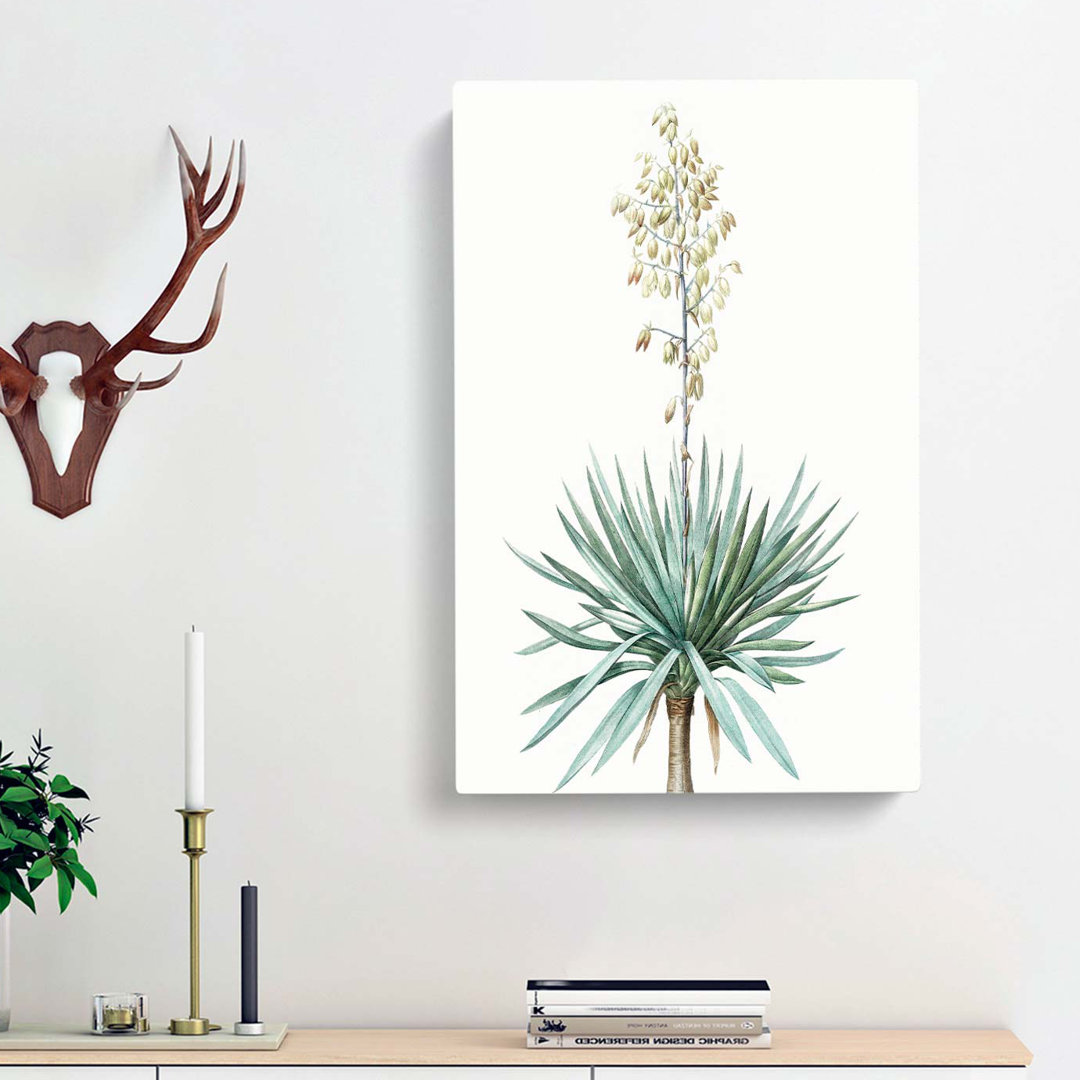 Adams Needle Yucca Flowers - Wrapped Canvas