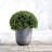 Pot Planter-96136729-96136730