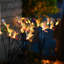 Butterfly solar courtyard ground mounted lights