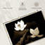 Fleurs de lotus Harnek-107680240
