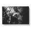 Elephant in the Trees - Wrapped Canvas-55316452