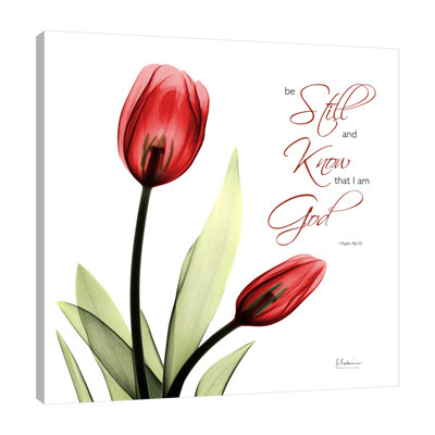"Be Still Tulip C64", toile tendue par Albert Koetsier