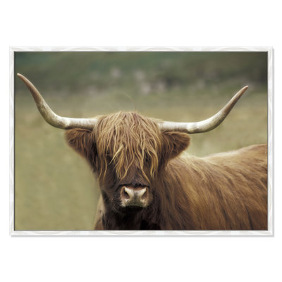 Highland Afternoon by Danita Delimont - Picture Frame Photograph