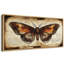Papillon papillon rétro, décorations rétro, photos murales rétro classiques, impression numérique sur toile giclée sur toile-111701414-111701416