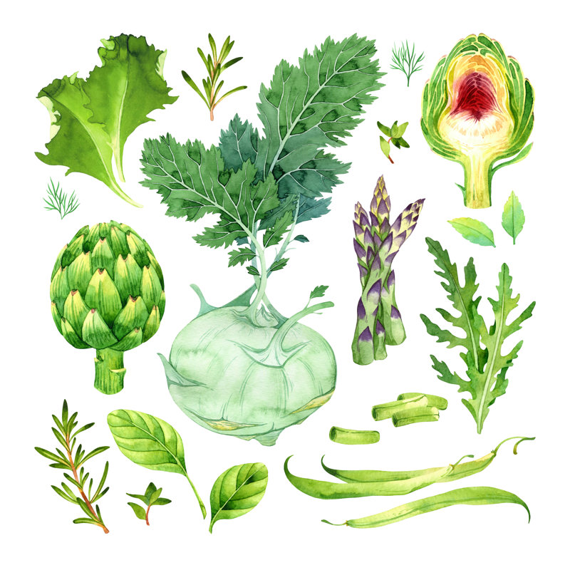 Vegetables by Achtung_Ein - Wrapped Canvas Painting, 76cm H x 76cm W