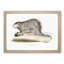 Porcupine Illustration by John Edward Gray - Picture Frame Painting Print-55767089-55767090