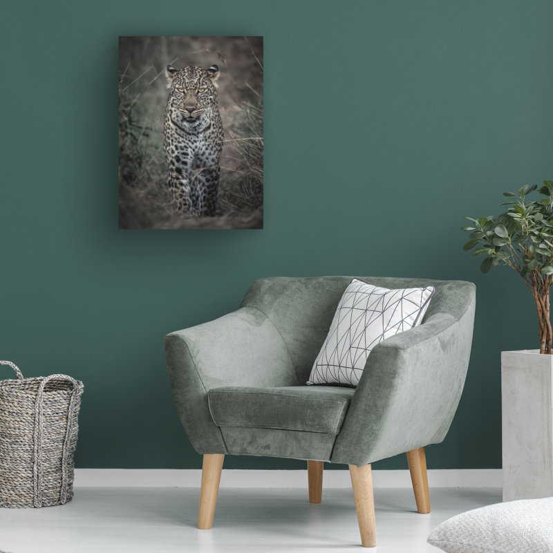Art sur toile «ologic Amro Murderous Intent », H 14 po x l 19 po