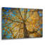 Latitude Run® 'Fall Tree' by Tim Oldford, Acrylic Glass Wall Art, 36"x24"-1829261819