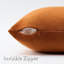 Housses de coussin décoratif en velours, housses décoratives douces de luxe pour canapé-salon (ensemble de 2)-136993693-136128921