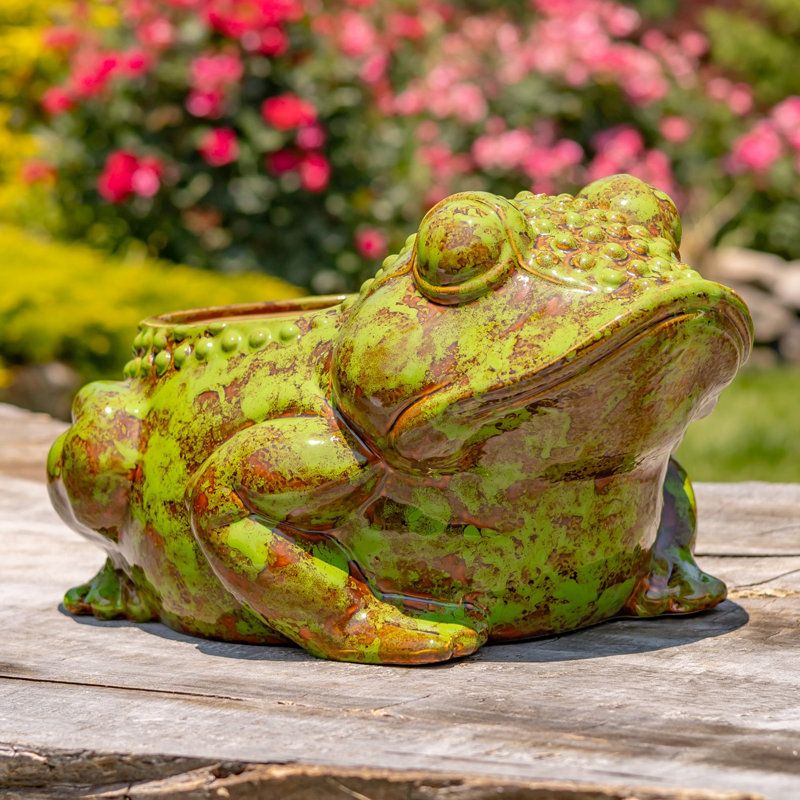17in. Hand Painted Ceramic Frog Planter - Rayne