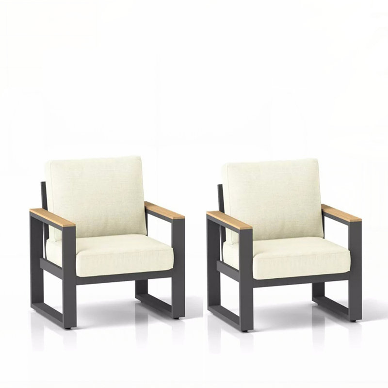 Ensemble de 2 fauteuils de patio en aluminium toutes saisons avec coussins épais et structure durable, Beige