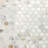 Calacatta 0.75" x 0.75" Marble Penny Round Mosaic Wall & Floor Tile