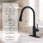 Robinet de cuisine rétractable à poignée simple avec accessoires-59881653