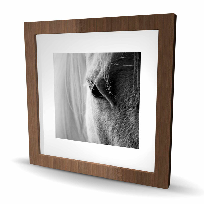 L'œil de cheval blanc - décor rustique gris mat