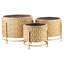 Maida Metal Pot Planter