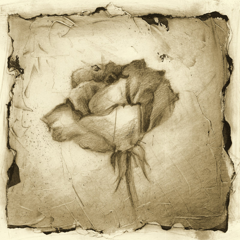 Floral Impression VI by Ethan Harper - Wrapped Canvas Painting, 122cm H x 122cm W