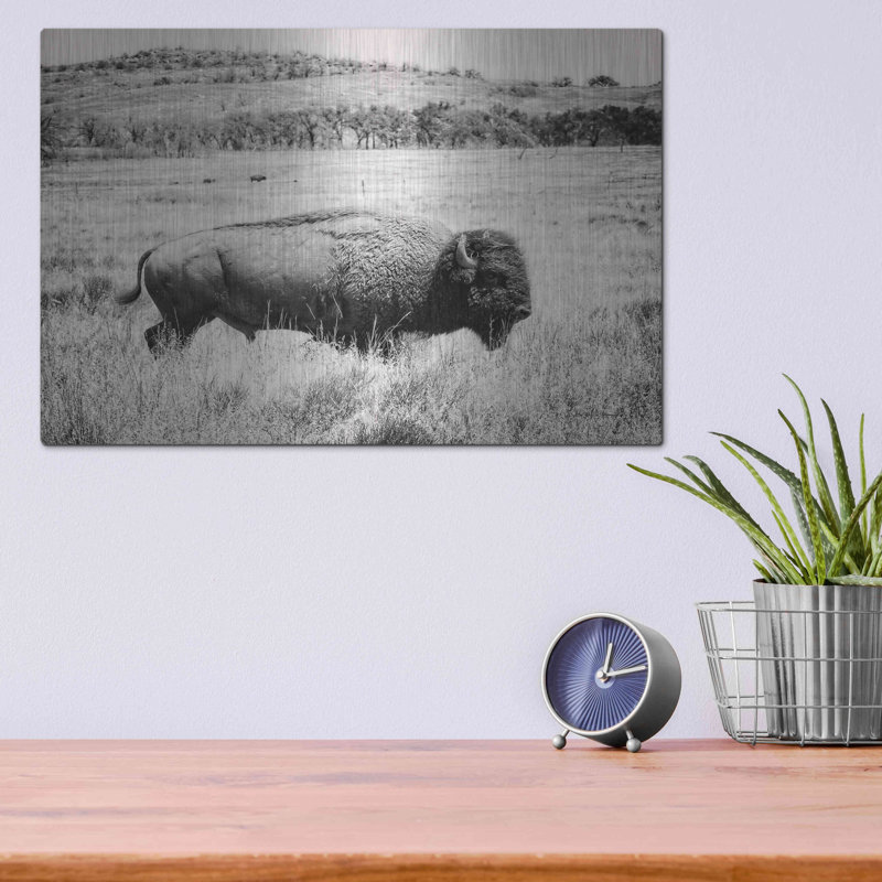 "Buffalo I BW" par Debra Van Swearingen, H 12 po x l 16 po