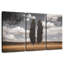 Pair Of Poplar Trees-1609746316