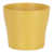 Curcuma selected
